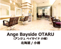 �A���W���x�C�T�C�h���M