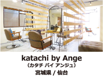 �J�^�`�o�C�A���W��