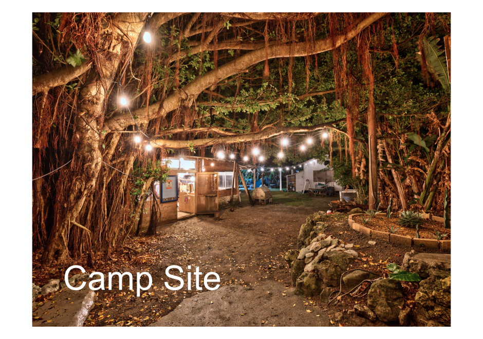 �L�����v��